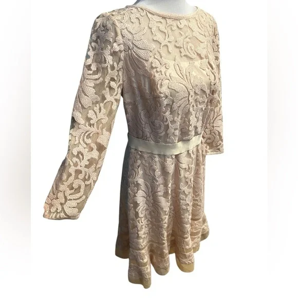 Tadashi Shoji Elegant Lace Dress in Cream petite size 12 - Picture 8 of 12